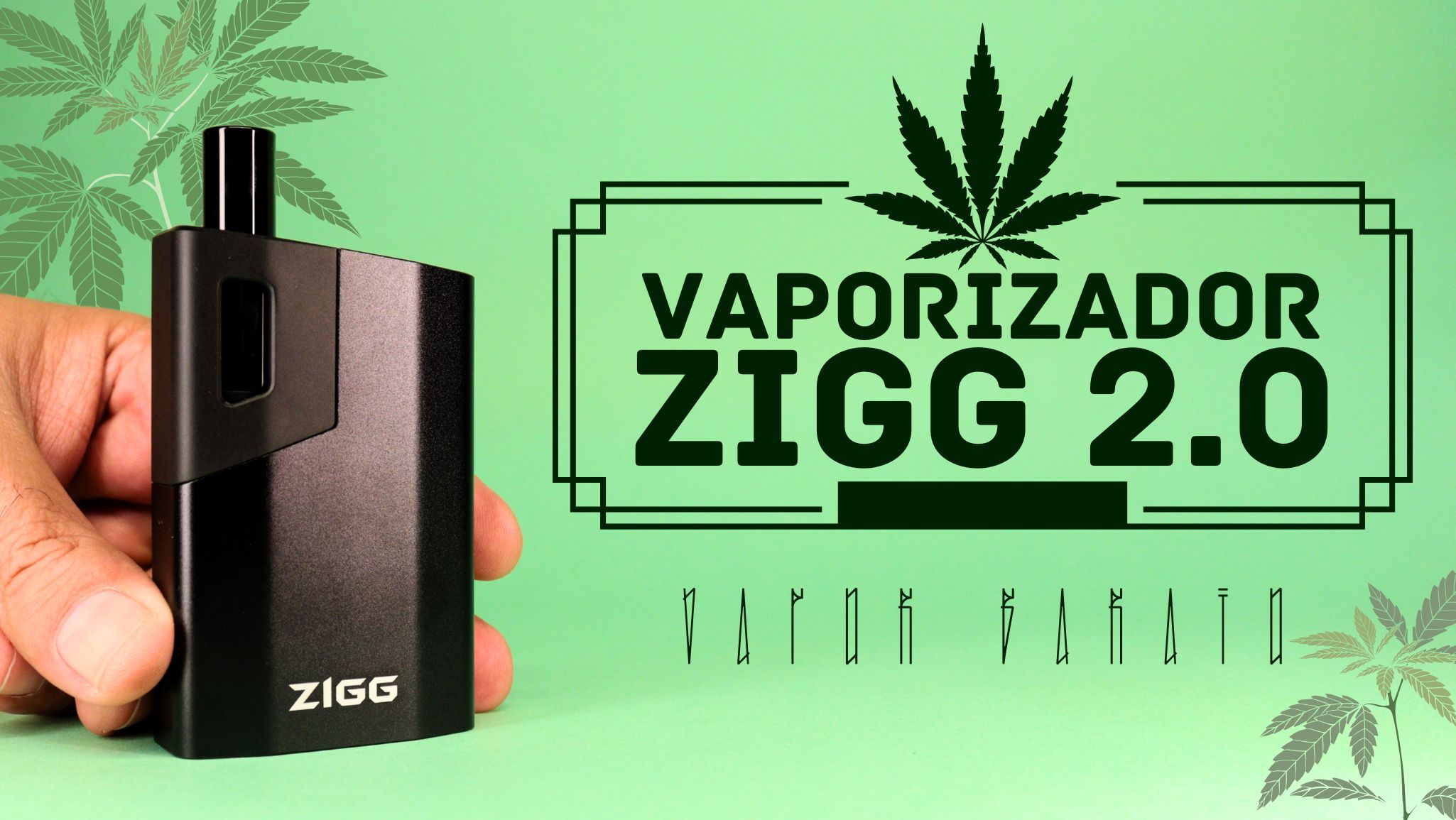 Kingvapo Zigg